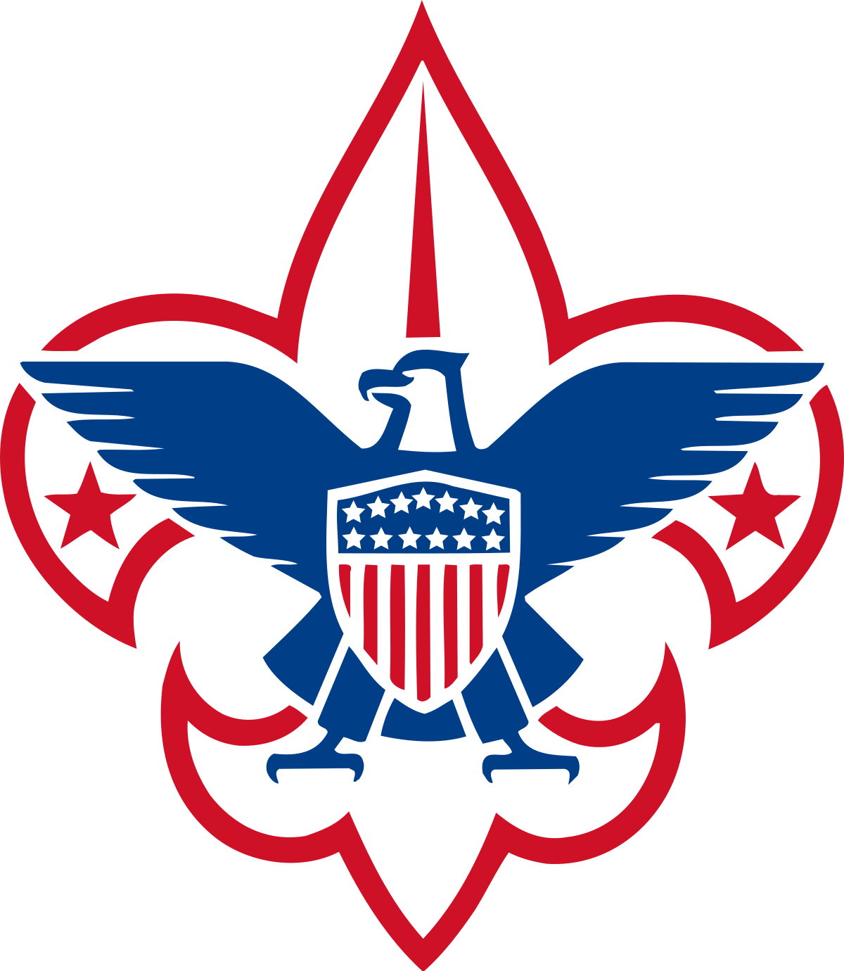 Boys Scout Of America Troop 786